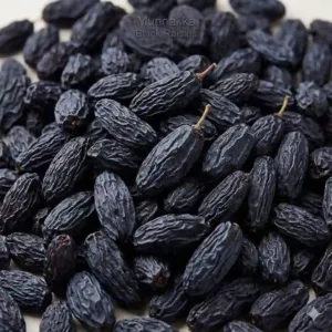 Black Raisin (Munakka)
