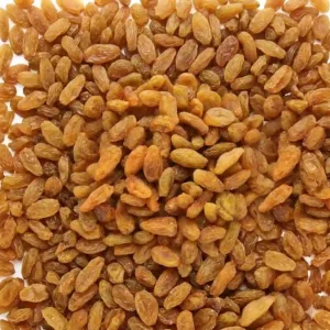 Munakka Dakh (Golden Raisin)